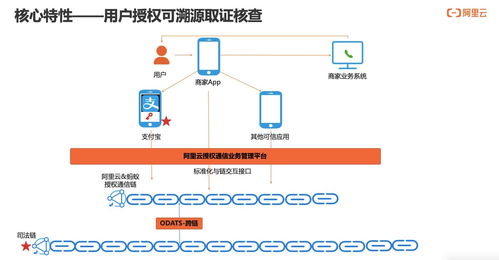 构建可信、可知、可追溯的用户通信授权服务 技术深度解读
